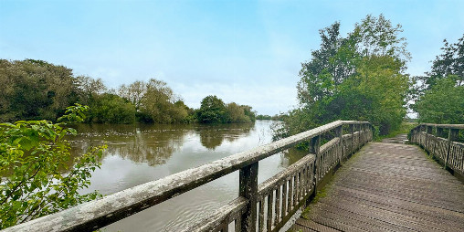 Thames Path Trail Run