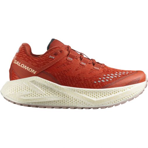 Salomon Damen Aero Glide 3 GRVL Schuhe