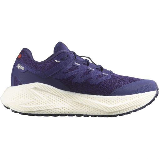 Salomon Damen Aero Glide 3 GRVL Schuhe