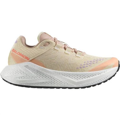 SALOMON Damen Laufschuhe SHOES AERO GLIDE 3 GRVL W Shobre/Wht/Fuc