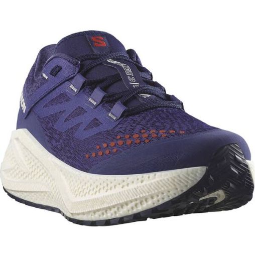 SALOMON Herren Laufschuhe SHOES AERO GLIDE 3 GRVL Astral/Vanila/Ha