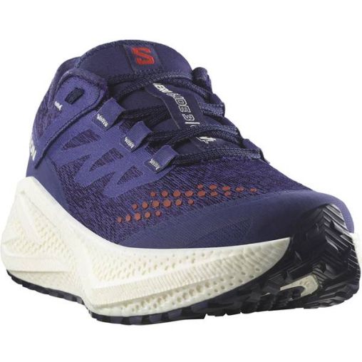 SALOMON Damen Laufschuhe SHOES AERO GLIDE 3 GRVL W Astral/Vanila