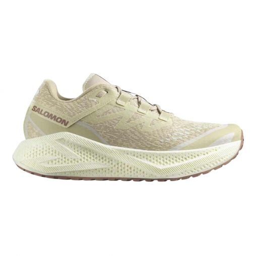 SALOMON AERO GLIDE 3 GRVL Gravel-Laufschuhe Herren Green Haze / Vanilla Ice / Russet 47 1/3