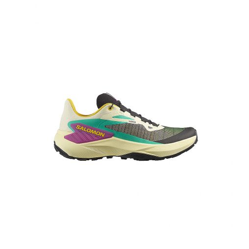 SALOMON Herren Traillaufschuhe Genesis bunt | 42