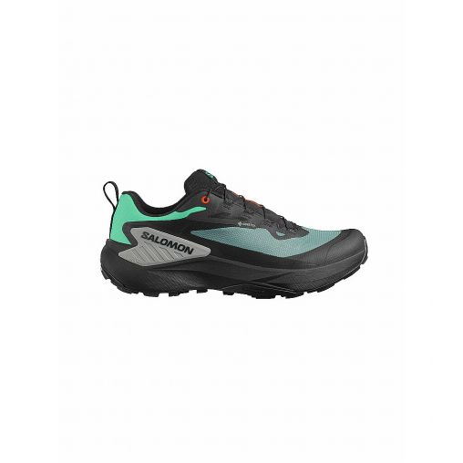 SALOMON Herren Traillaufschuhe Genesis GTX blau | 42