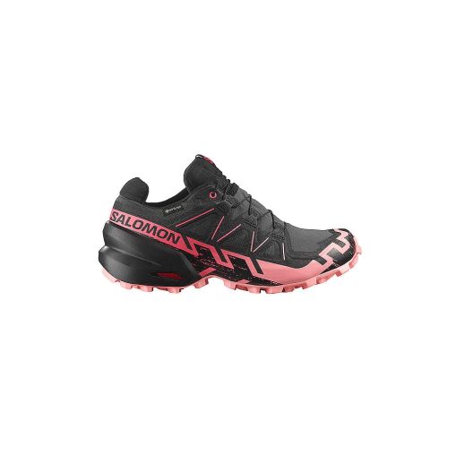 SALOMON Damen Traillaufschuhe Speedcross 6 GTX schwarz | 38