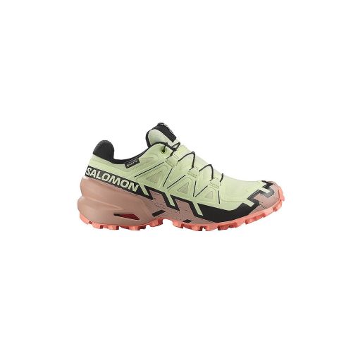 SALOMON Damen Traillaufschuhe Speedcross 6 GORE-TEX beige | 40