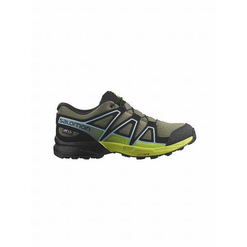 SALOMON Damen Traillaufschuhe XA PRO 3D V9 GTX olive | 39