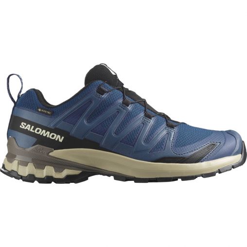 Salomon XA Pro 3D V9 GTX Herren blau