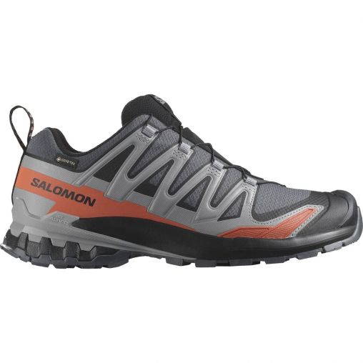Salomon XA Pro 3D V9 GTX Herren grau