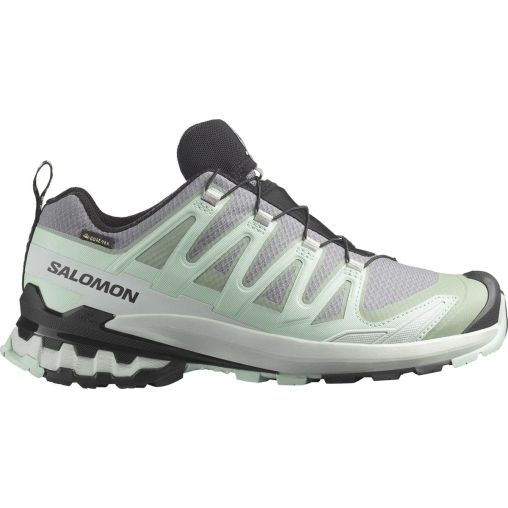 Salomon XA Pro 3D V9 GTX Damen Trailrunningschuhe, grau, Größe 39 ⅓