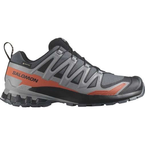 Salomon XA Pro 3D V9 Wide Gore-Tex Herren grau