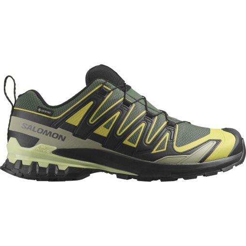 Salomon XA Pro 3D V9 GTX Herren grün