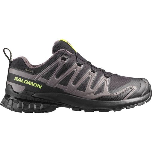 Salomon XA Pro 3D V9 GTX Herren Trailrunningschuhe, schwarz, Größe 42