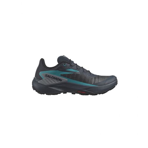 SALOMON Herren Traillaufschuhe Genesis grau | 46