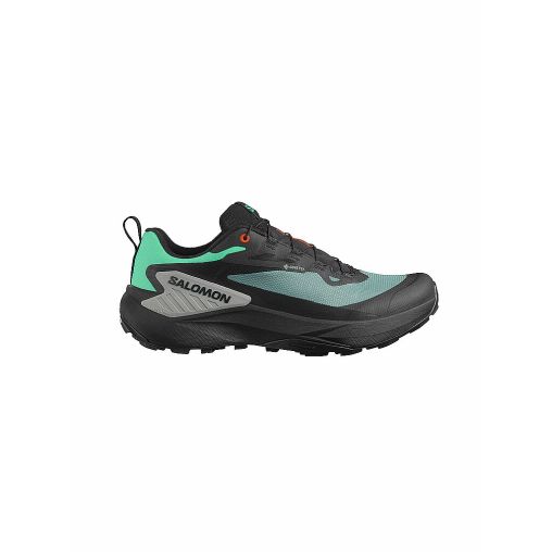 SALOMON Herren Traillaufschuhe Genesis GTX blau | 46 2/3