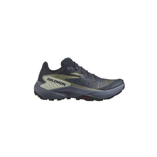 SALOMON Damen Traillaufschuhe Genesis grau | 38