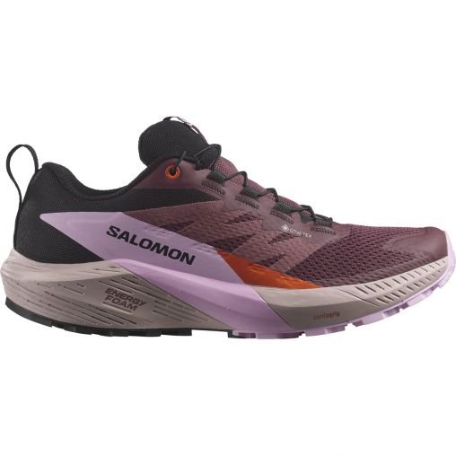 Salomon Damen Sense Ride 5 GTX Schuhe