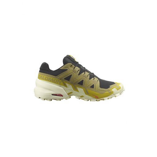 SALOMON Herren Traillaufschuhe Speedcross 6 olive | 46