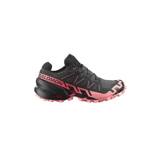 SALOMON Damen Traillaufschuhe Speedcross 6 GTX schwarz | 40