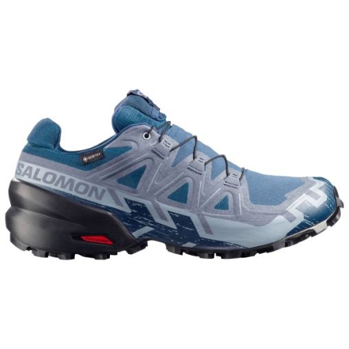Salomon - Speedcross 6 GORE-TEX - Trailrunningschuhe Gr 40 spellbound / tradewinds
