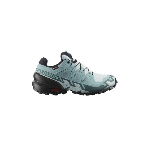 SALOMON Damen Traillaufschuhe Speedcross 6 GORE-TEX hellblau | 38 2/3