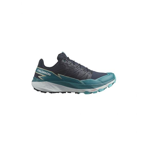 SALOMON Herren Traillaufschuhe Thundercross grau | 41 1/3