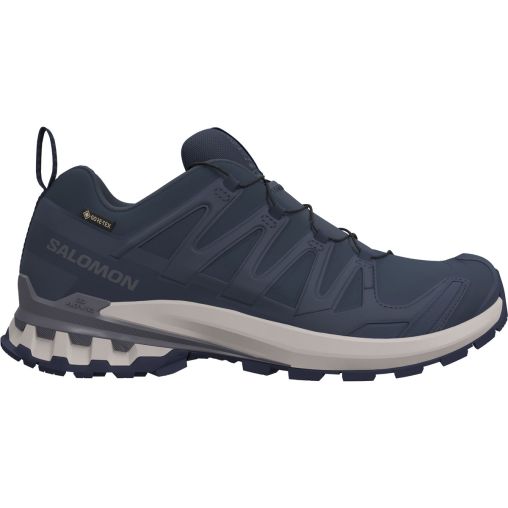 Salomon Herren Xa Pro 3D V9 GTX Schuhe