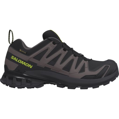 Salomon Herren Xa Pro 3D V9 GTX Schuhe