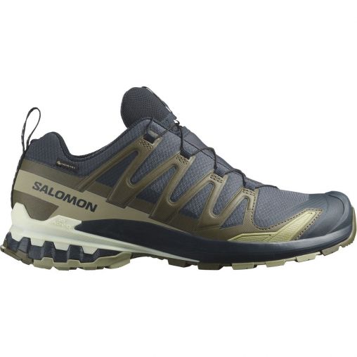 Salomon XA Pro 3D V9 GTX Herren grau