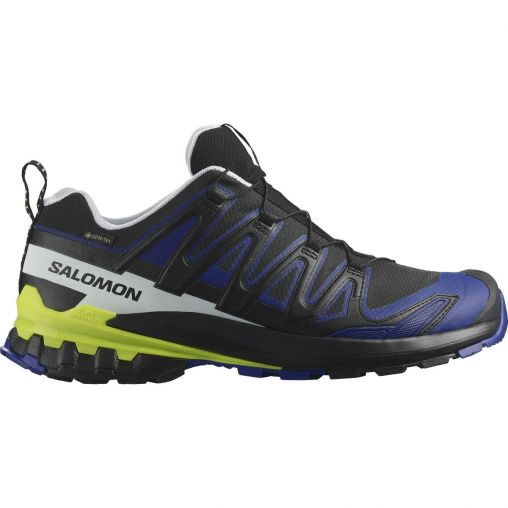 Salomon XA Pro 3D V9 GTX Herren schwarz