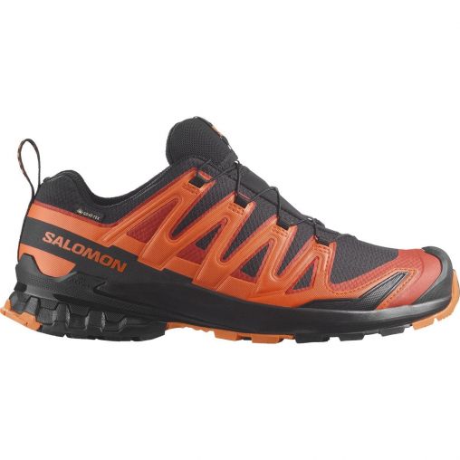 Salomon XA Pro 3D V9 GTX Herren pink