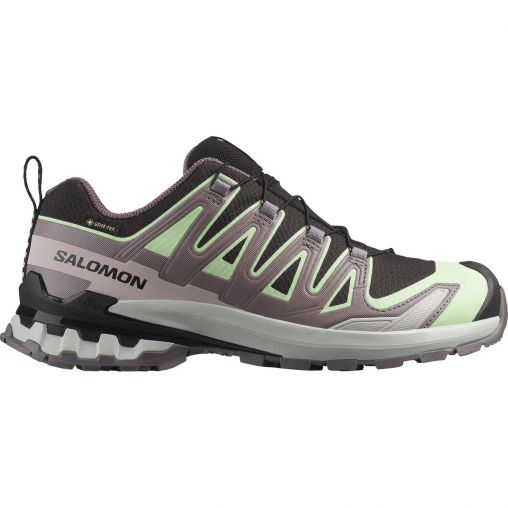 Salomon Damen Xa Pro 3D V9 GTX Schuhe