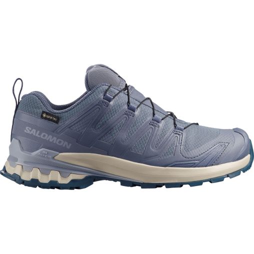 Salomon Damen Xa Pro 3D V9 GTX Schuhe
