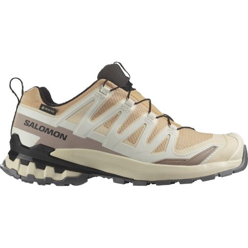 Salomon XA Pro 3D V9 GTX Damen Trailrunningschuhe, braun, Größe 40
