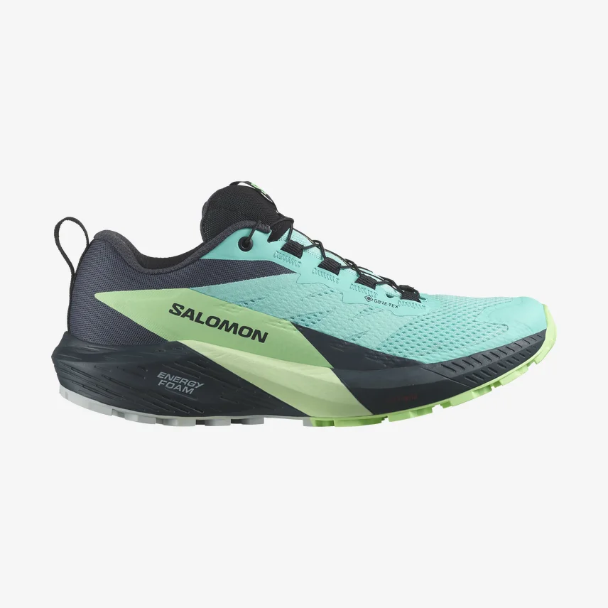 Salomon Sense Ride 5 GORE-TEX Female